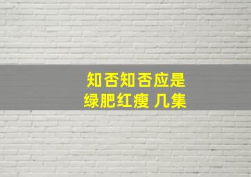 知否知否应是绿肥红瘦 几集